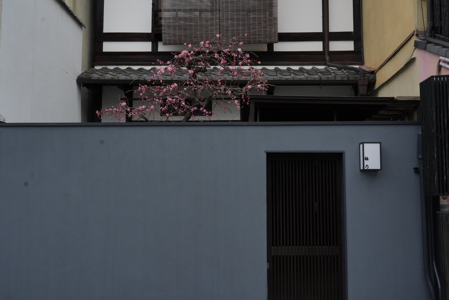 1 Hour Geisha Show & Kitano Tenmangu Shrine with Geisha in Kyoto