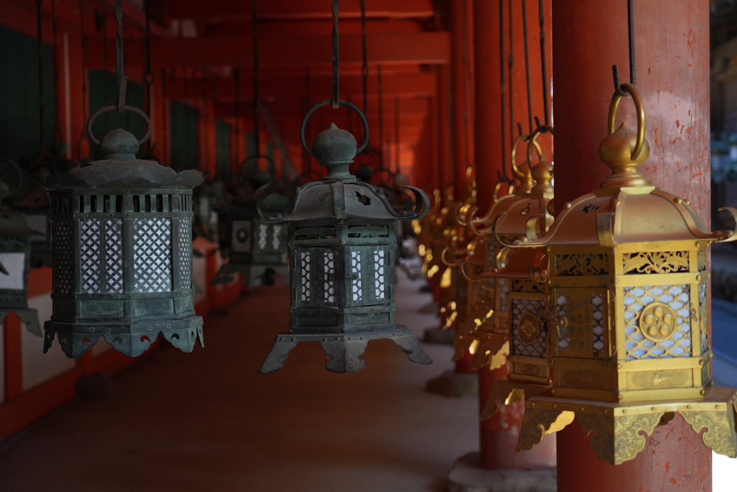 Nara Early Bird Tour (Kintetsu Nara Meetup)