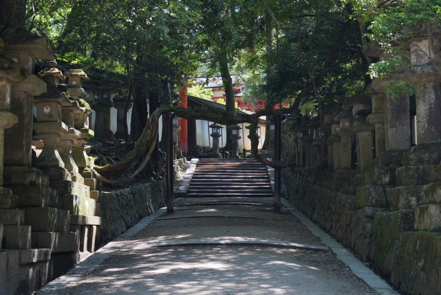 Nara Early Bird Tour (Kintetsu Nara Meetup)