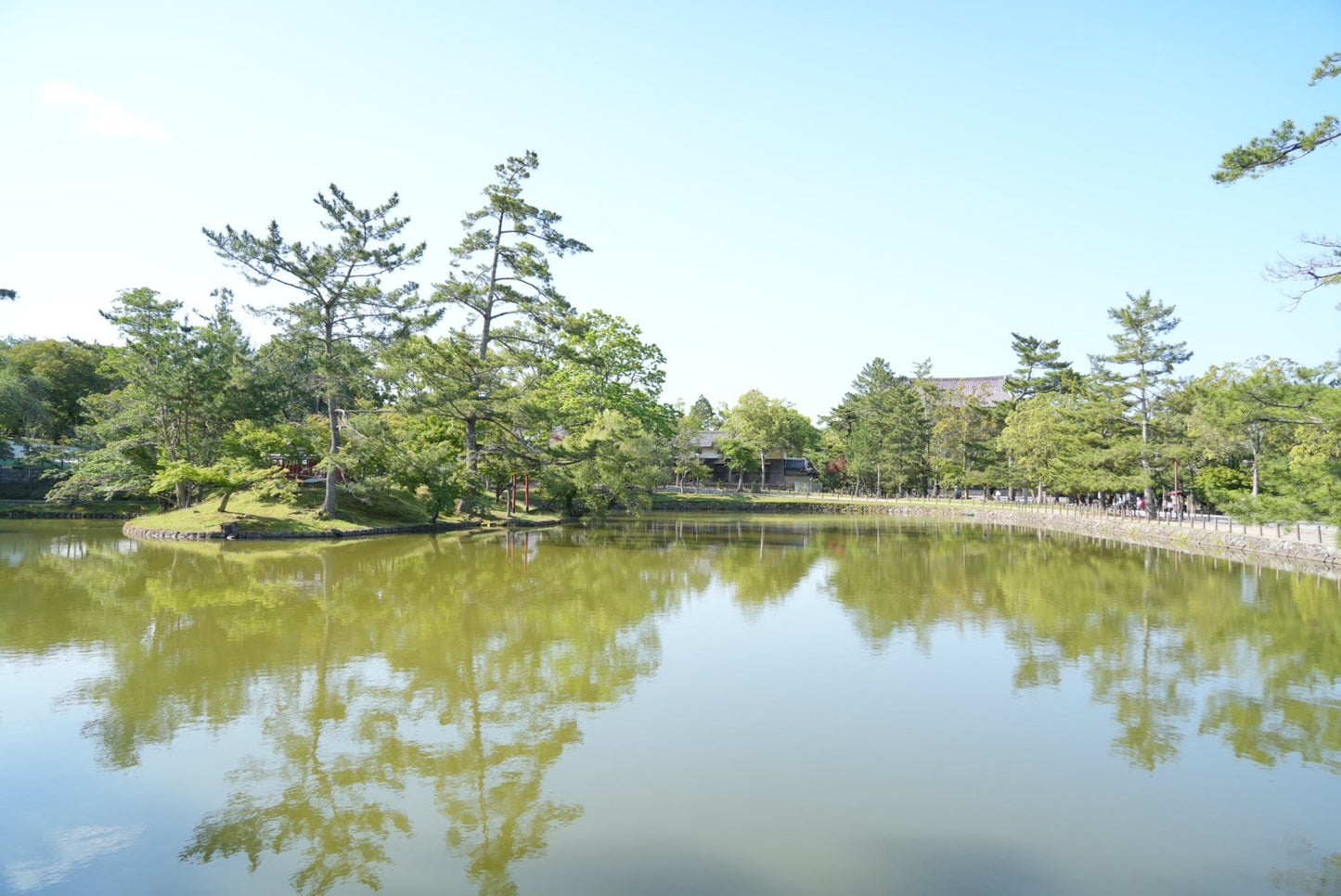 Nara Early Bird Tour (Kintetsu Nara Meetup)