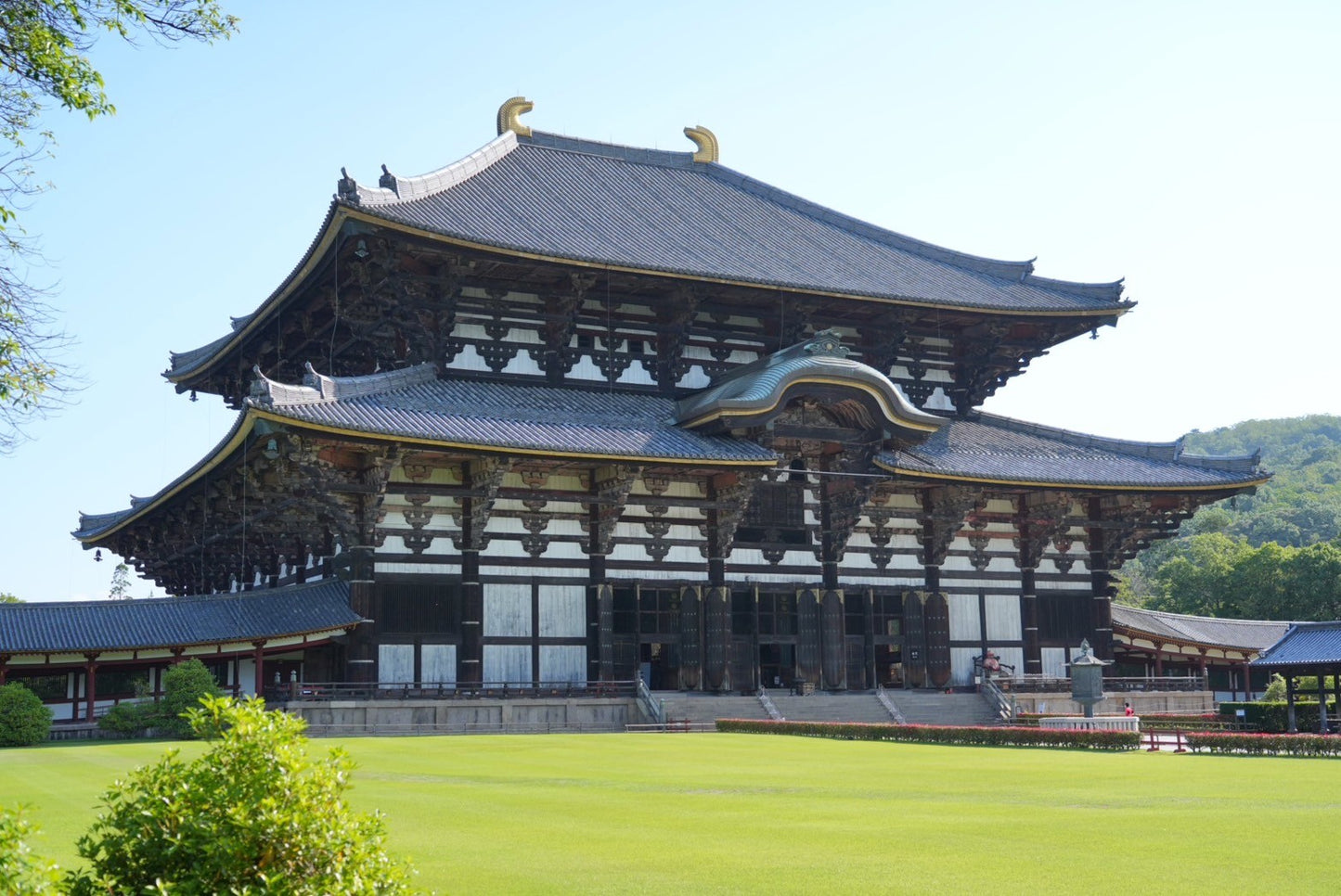 Nara Early Bird Tour (Kintetsu Nara Meetup)