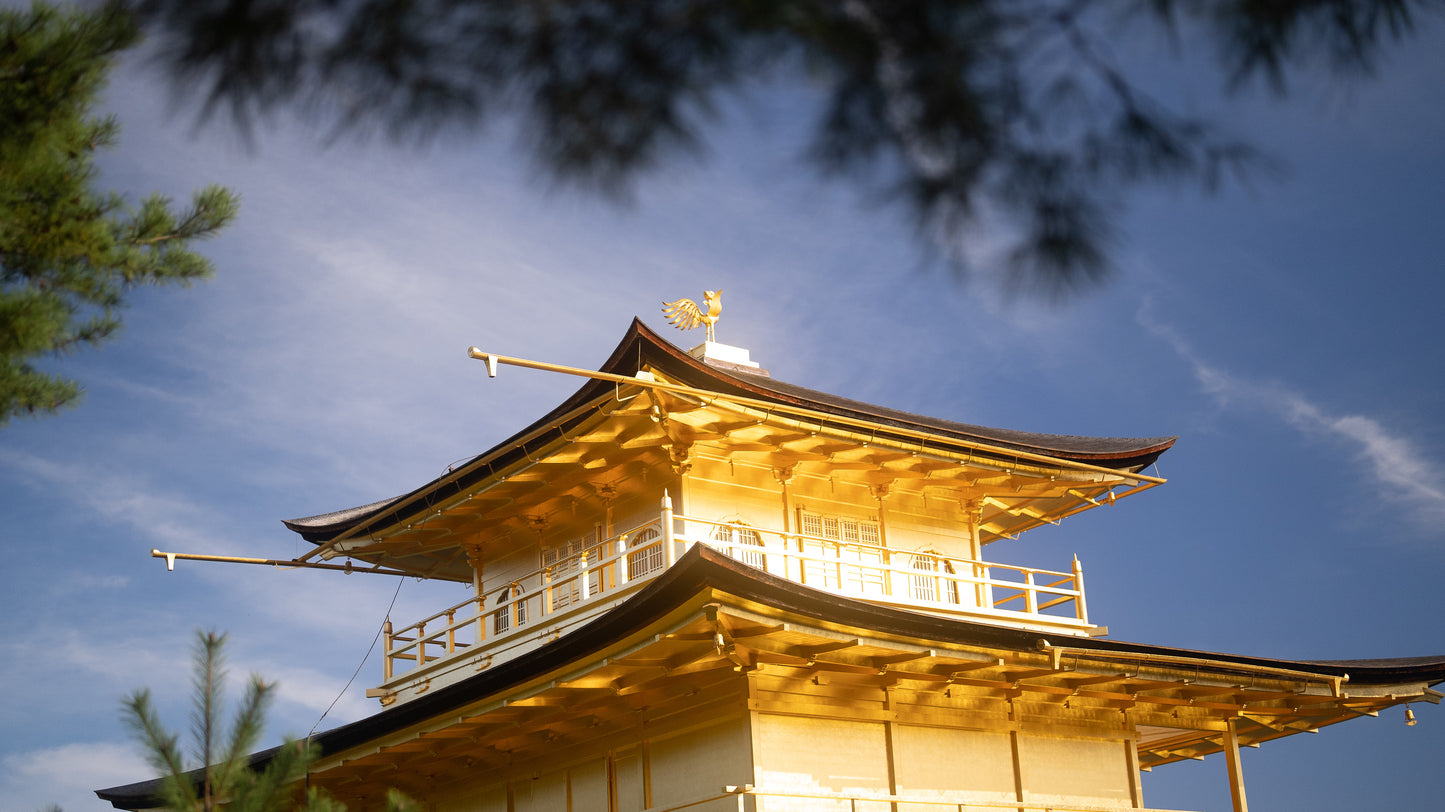 Kyoto Early Morning Tour with English-Speaking Guide