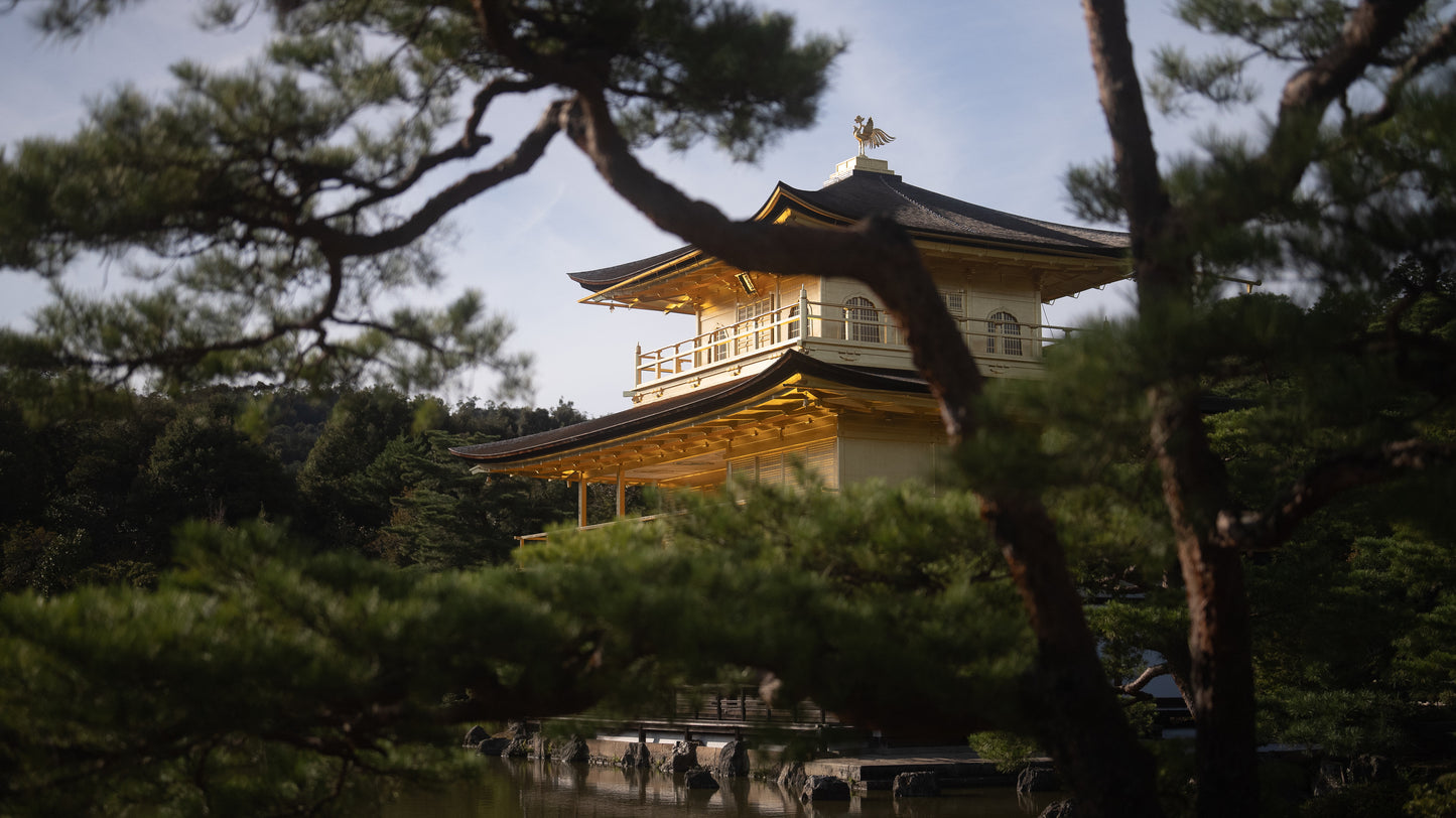 Kyoto Early Morning Tour with English-Speaking Guide