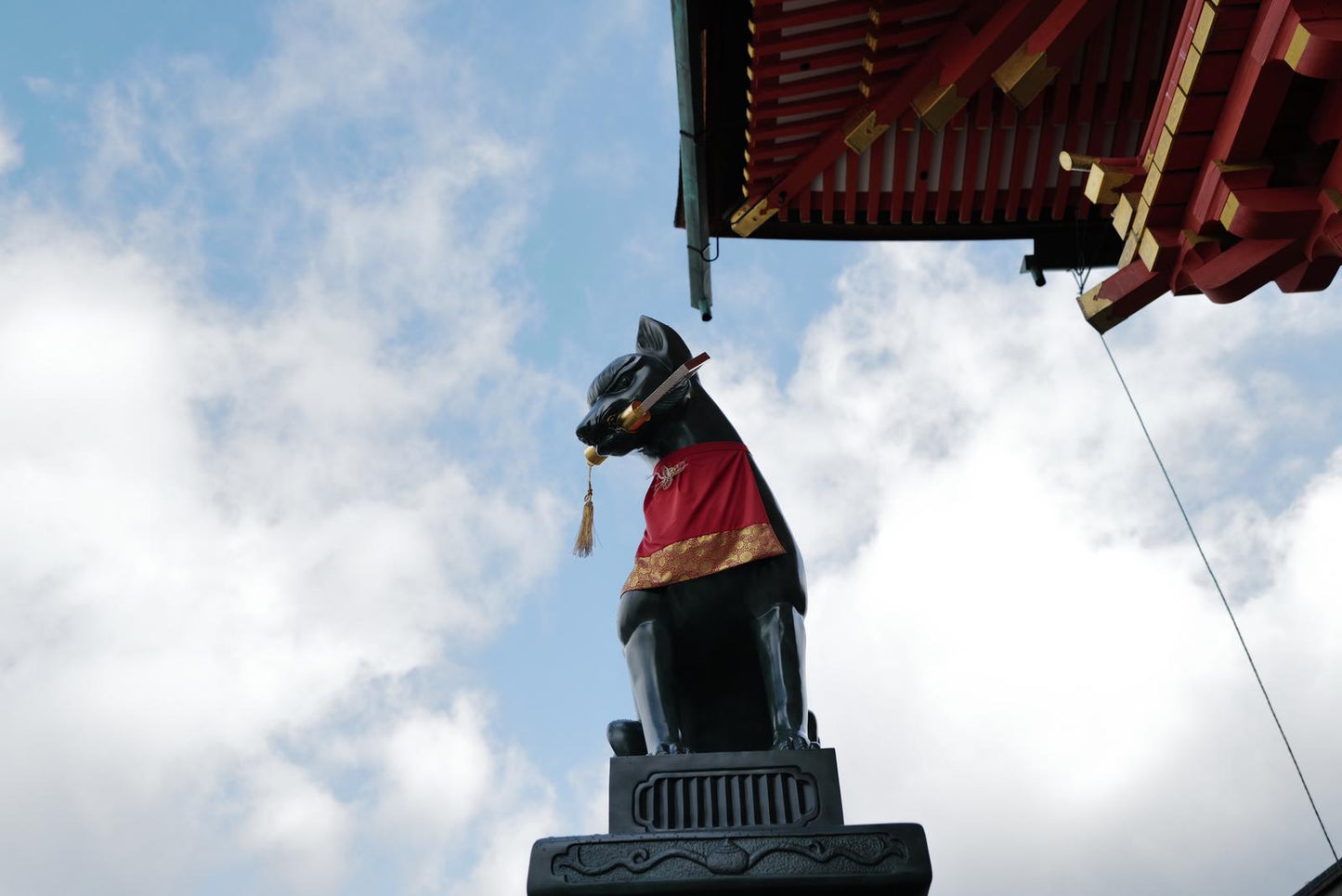 Kyoto Early Morning Tour with English-Speaking Guide