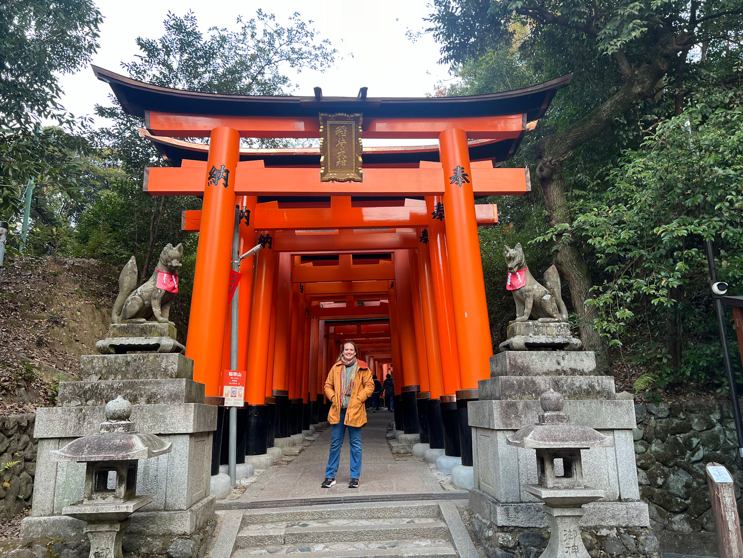 Kyoto Early Morning Tour with English-Speaking Guide