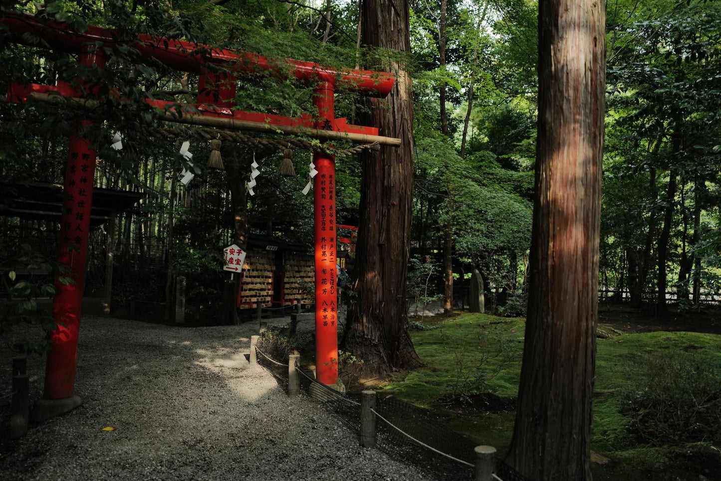 Kyoto Early Morning Tour with English-Speaking Guide