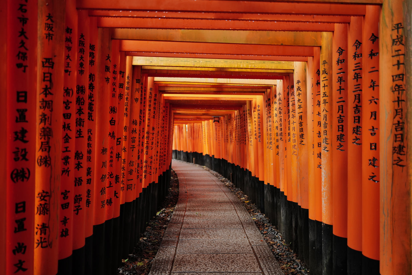 Kyoto Early Morning Tour with English-Speaking Guide