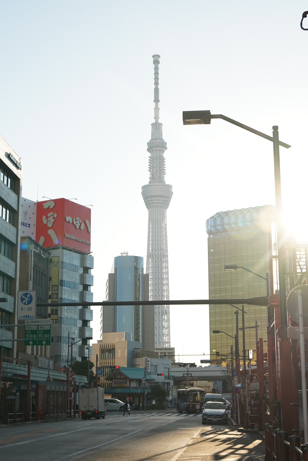 Tokyo Early Bird Tour Asakusa Meiji Jingu and Tsukiji Market