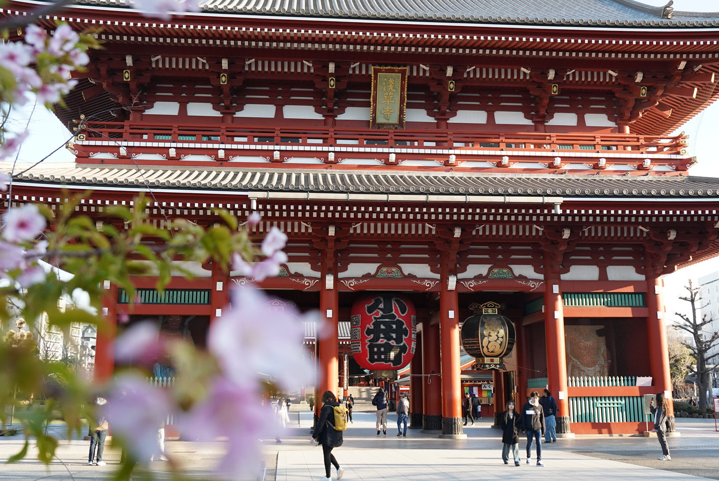 Tokyo Early Bird Tour Asakusa Meiji Jingu and Tsukiji Market