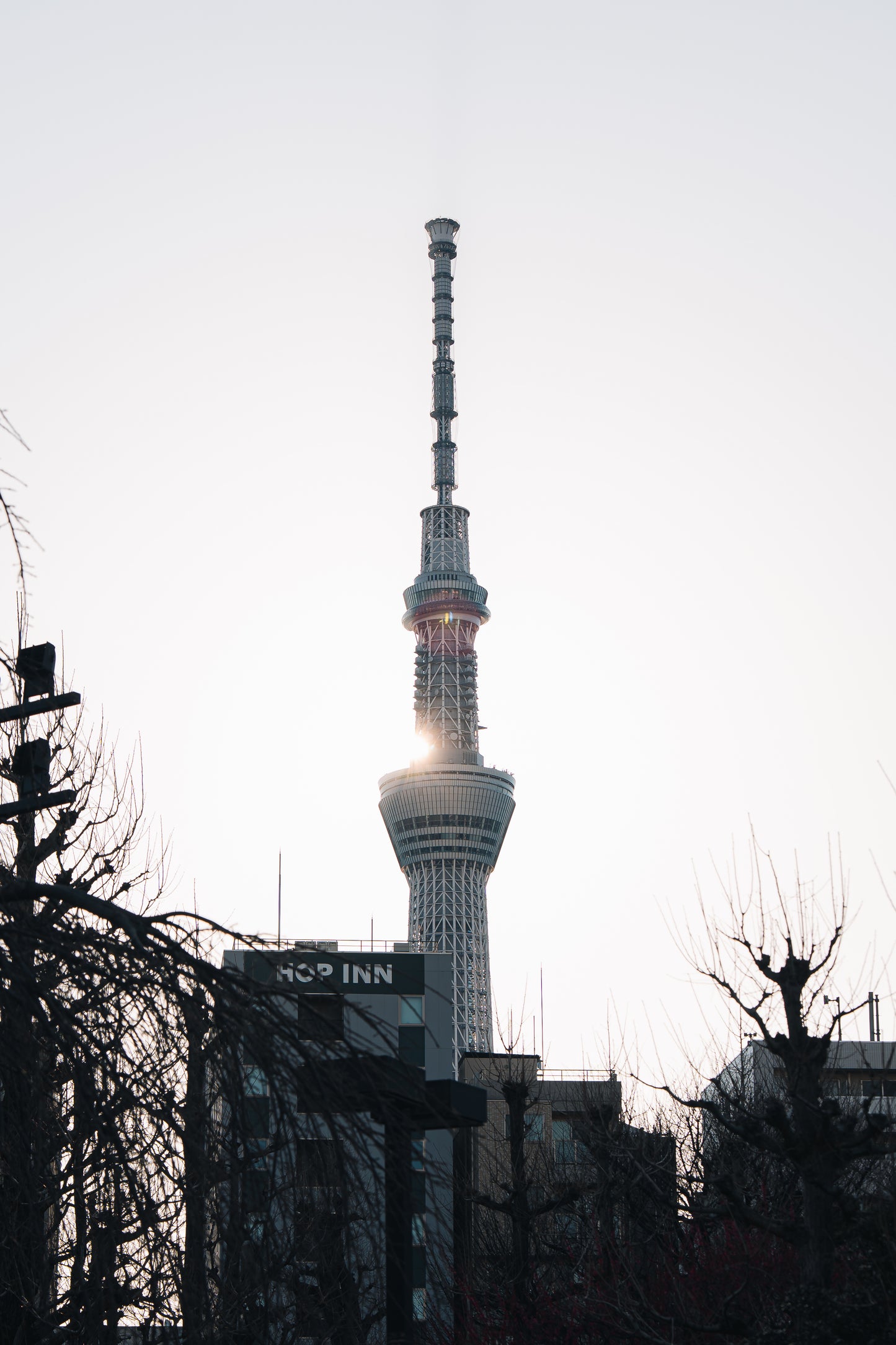 Tokyo Early Bird Tour Asakusa Meiji Jingu and Tsukiji Market