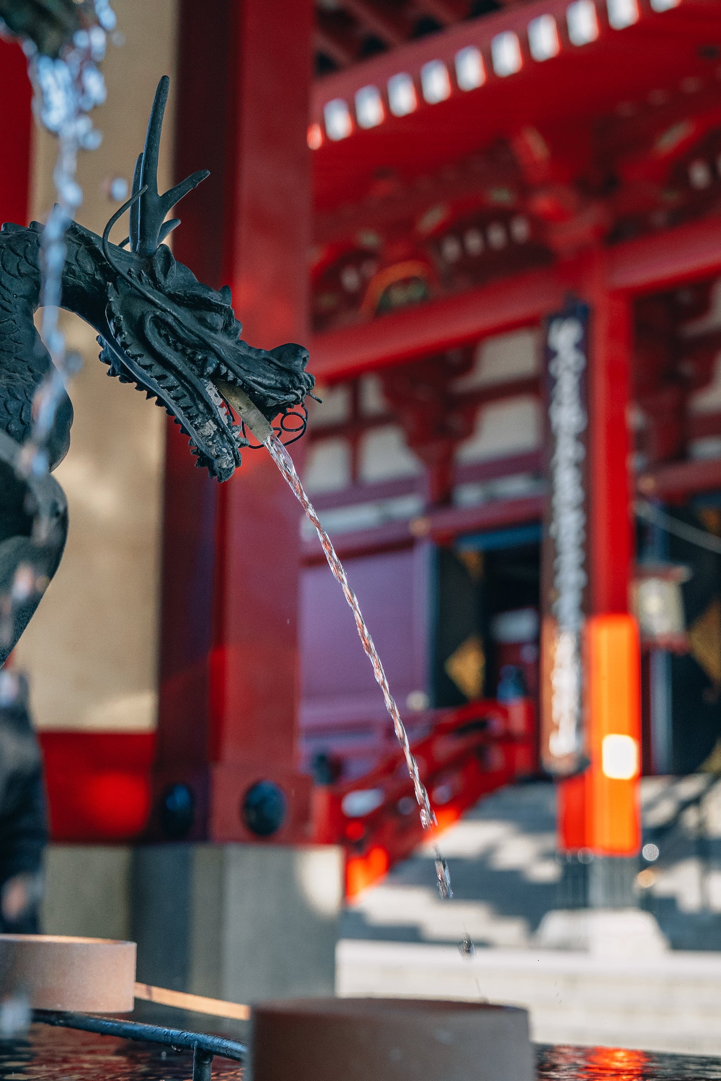 Tokyo Early Bird Tour Asakusa Meiji Jingu and Tsukiji Market