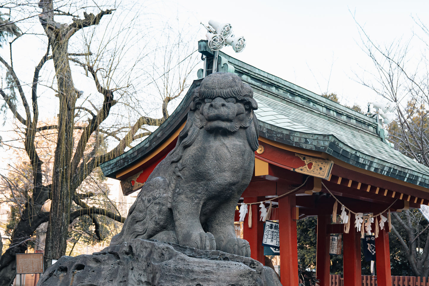 Tokyo Early Bird Tour Asakusa Meiji Jingu and Tsukiji Market