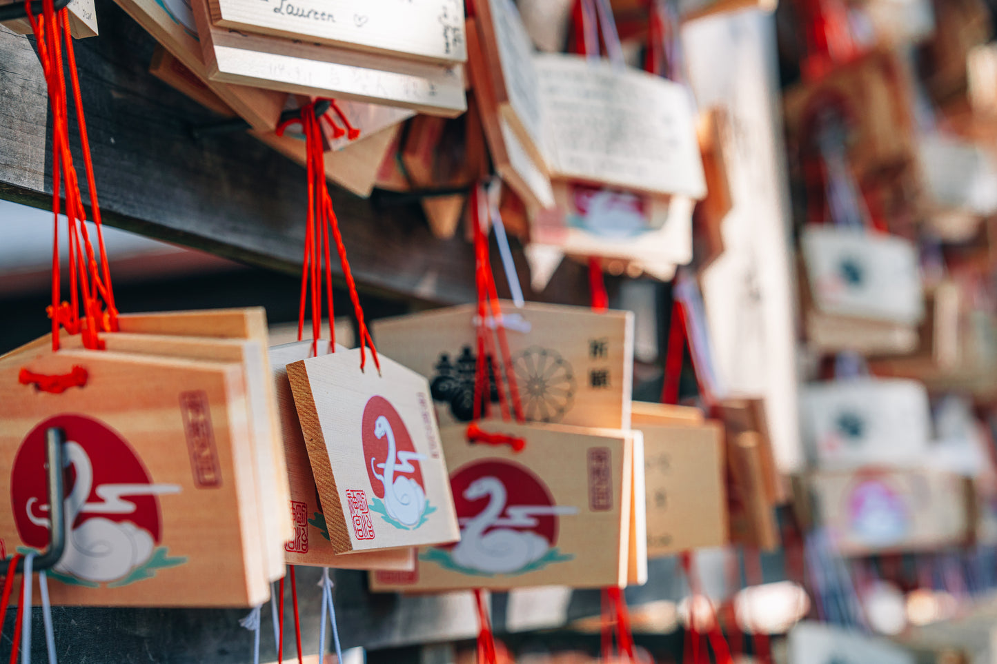 Tokyo Early Bird Tour Asakusa Meiji Jingu and Tsukiji Market