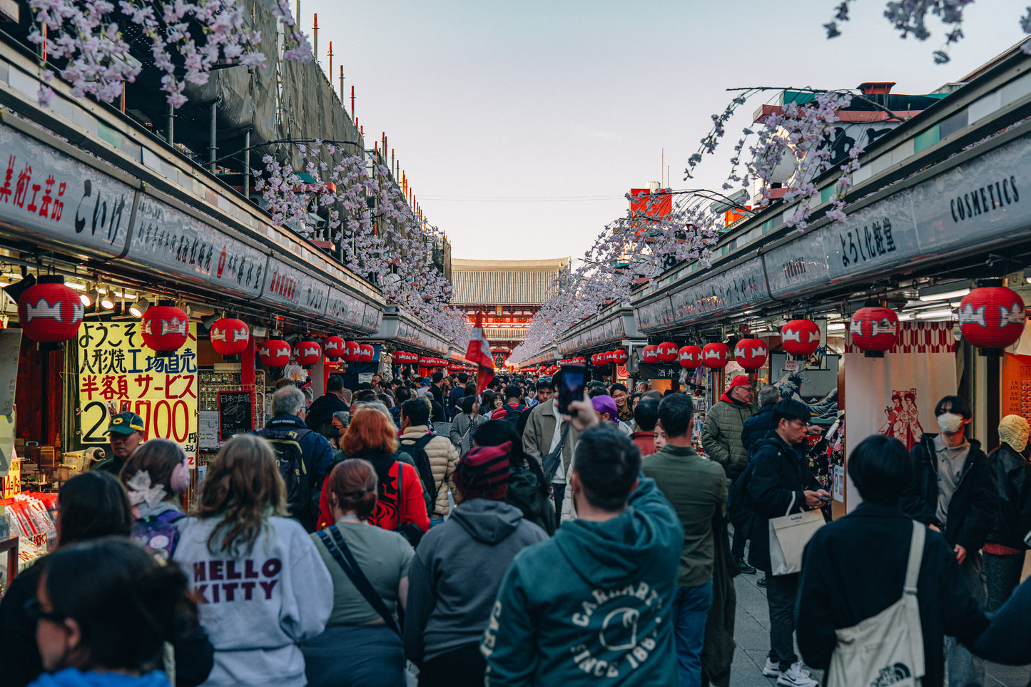 Tokyo Early Bird Tour Asakusa Meiji Jingu and Tsukiji Market