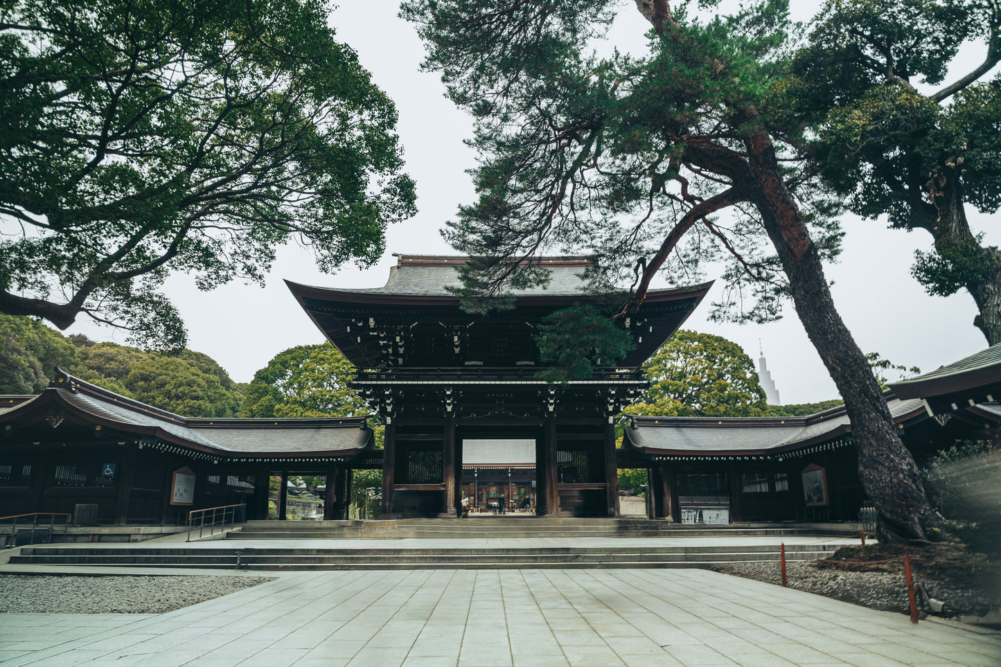Tokyo Early Bird Tour Asakusa Meiji Jingu and Tsukiji Market